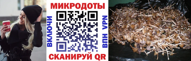 Псилоцибиновые грибы GOLDEN TEACHER где найти наркотики Артёмовский